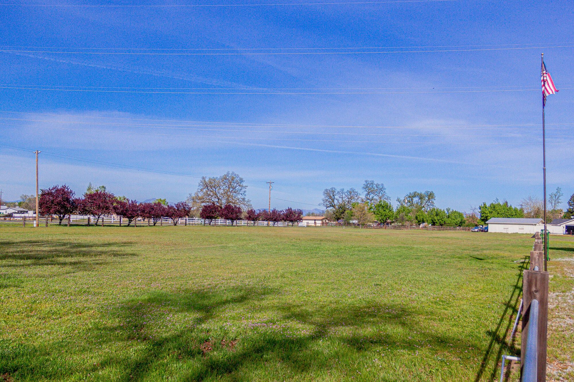 23848 Springwood Way Millville, CA 96062 - Photo 79 of 99 a view of a field with an ocean and trees in the background