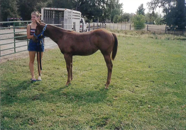 $1,200,000 | 23848 Springwood Way, Millville, CA 96062