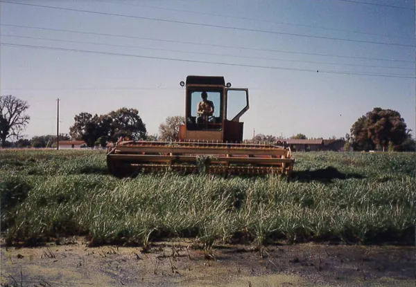 $1,200,000 | 23848 Springwood Way, Millville, CA 96062