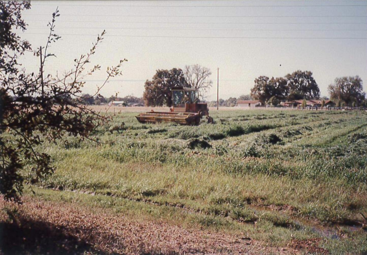 23848 Springwood Way Millville, CA 96062 - Photo 90 of 99 Screen Shot 2022-03-30 at 3.33.05 PM