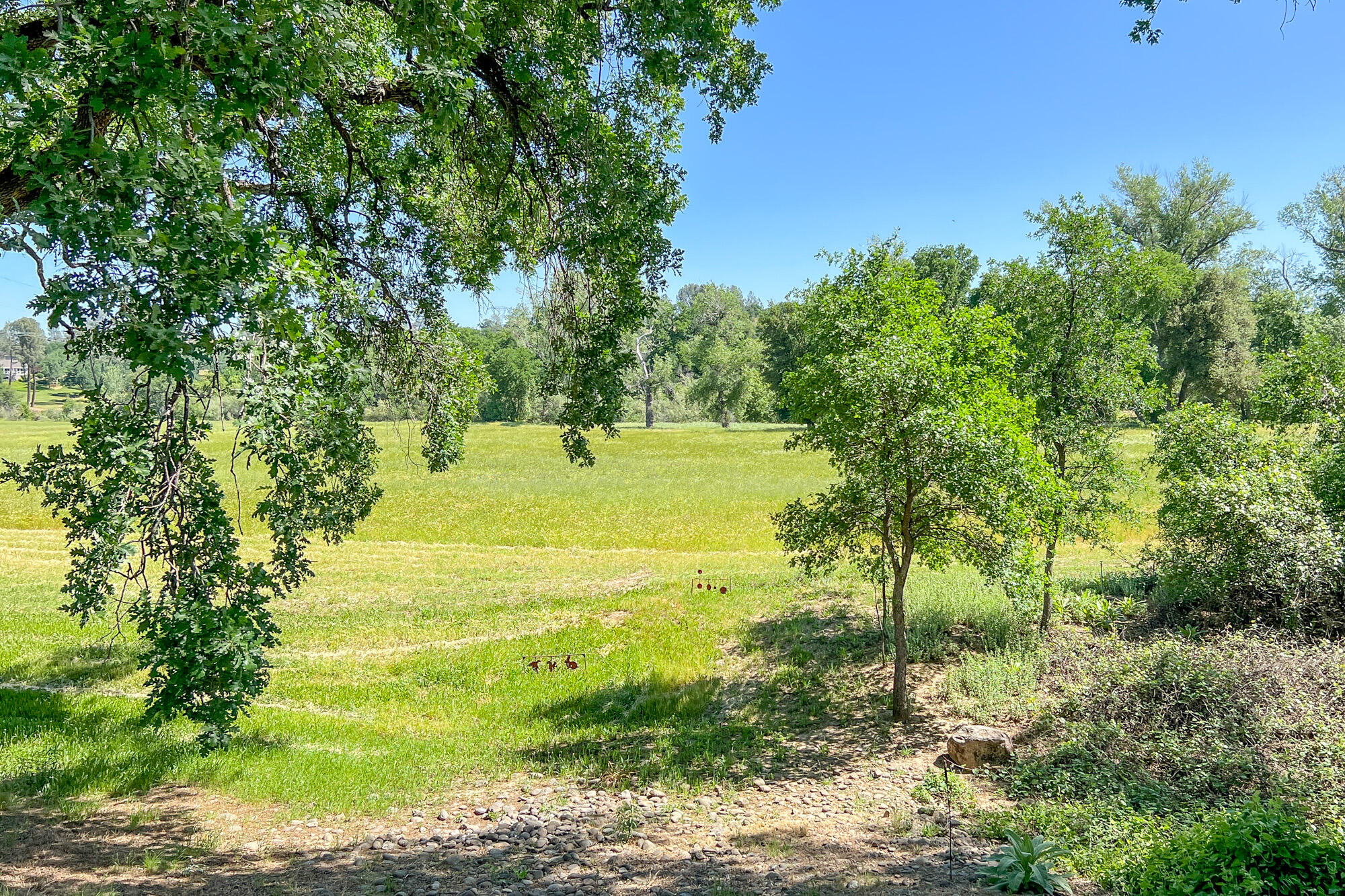 23848 Springwood Way Millville, CA 96062 - Photo 9 of 99 IMG_3808
