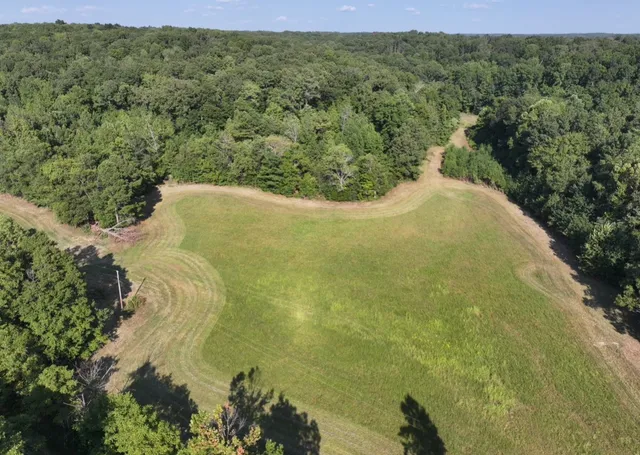 a view of a forest with a lake
