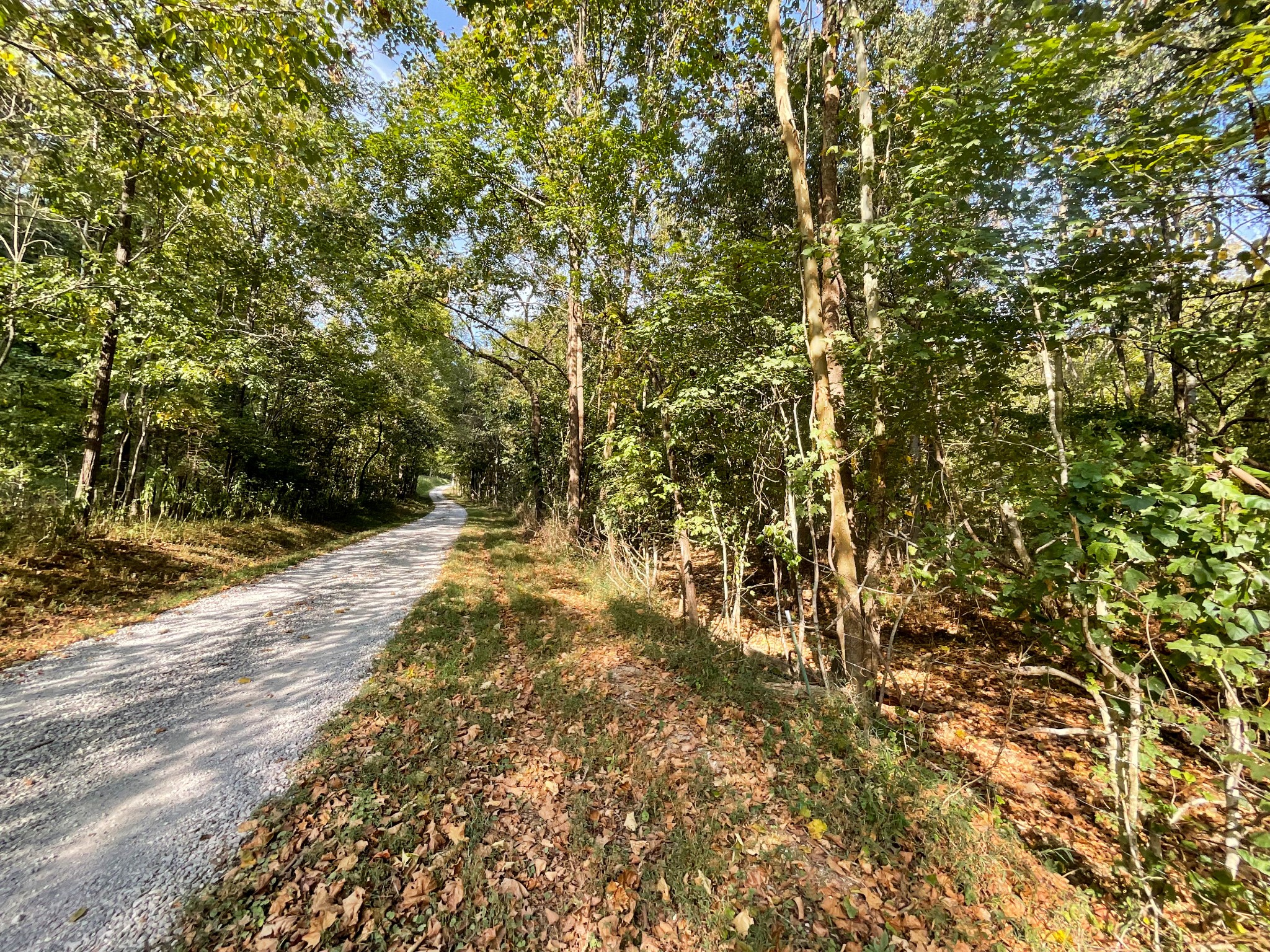 3 John Ross Hollow Road Erin, TN 37061 - Photo 11 of 25 a view of yard