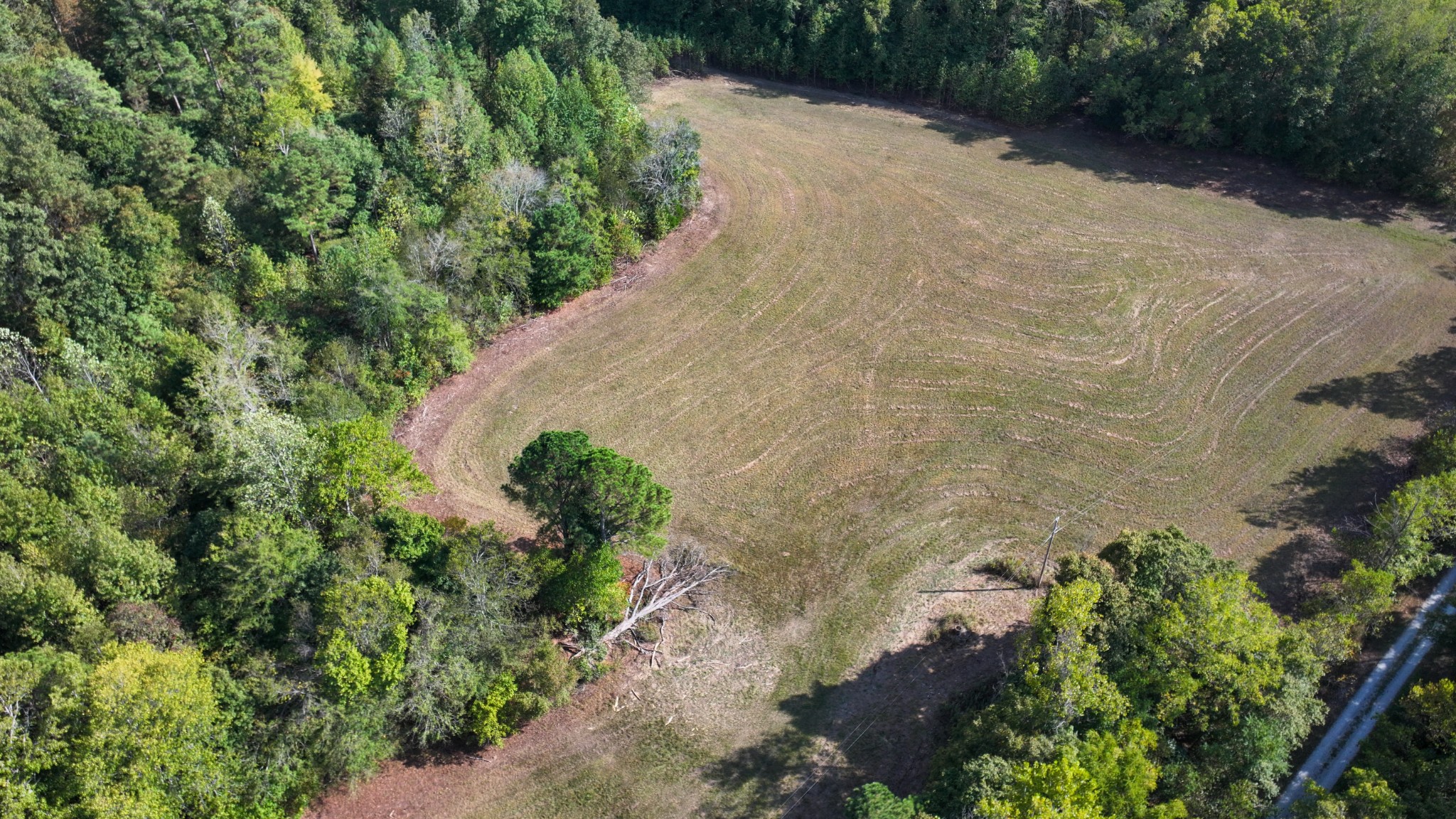 3 John Ross Hollow Road Erin, TN 37061 - Photo 17 of 25 a view of a garden with plants