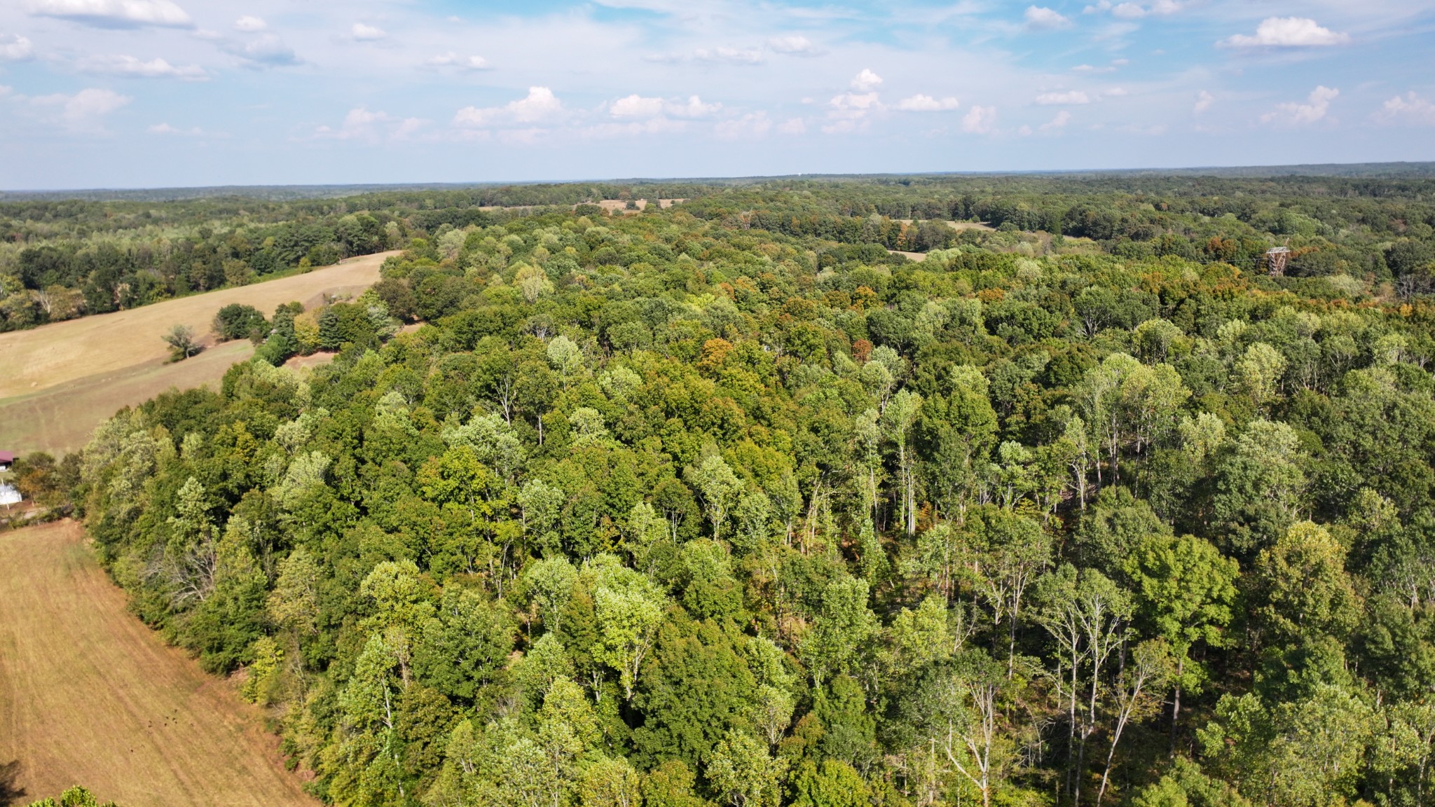 3 John Ross Hollow Road Erin, TN 37061 - Photo 18 of 25 a view of a city with lush green forest
