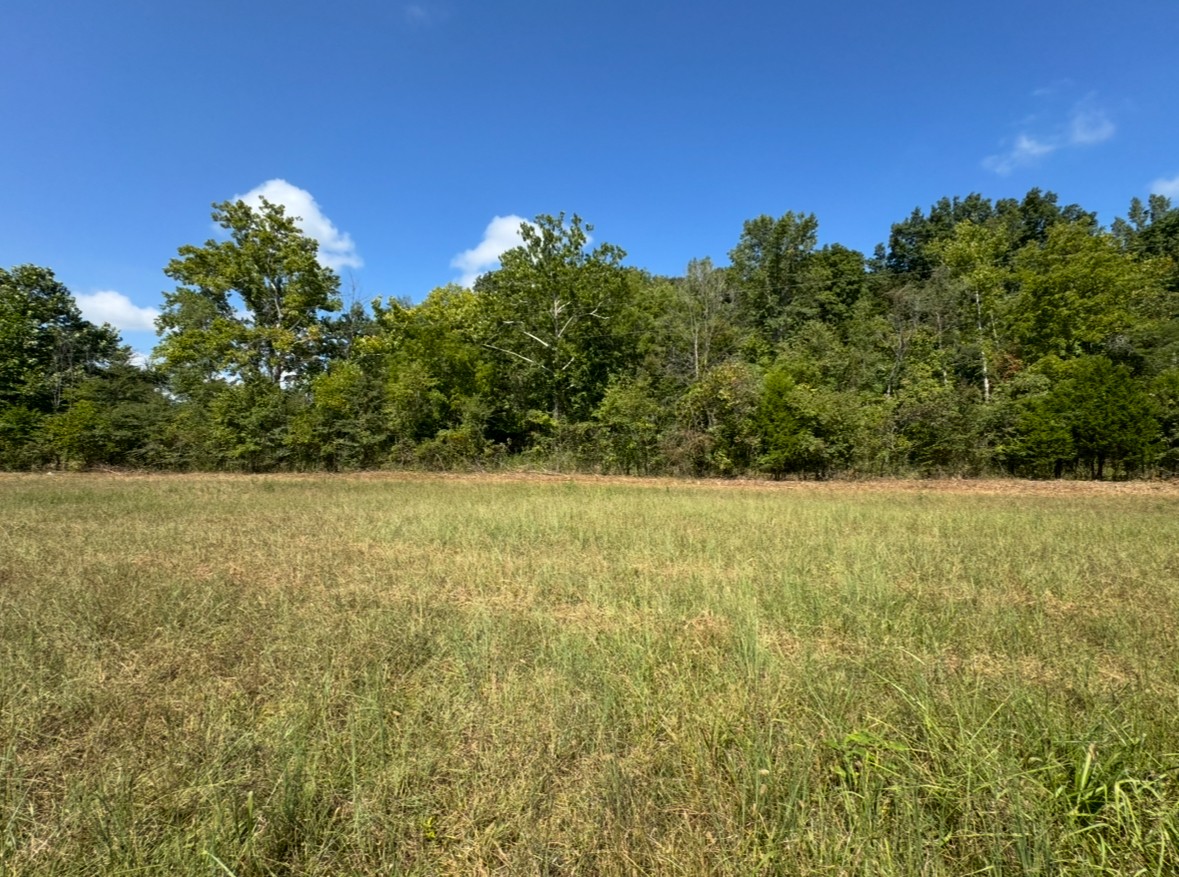 3 John Ross Hollow Road Erin, TN 37061 - Photo 2 of 25 a view of yard with large trees