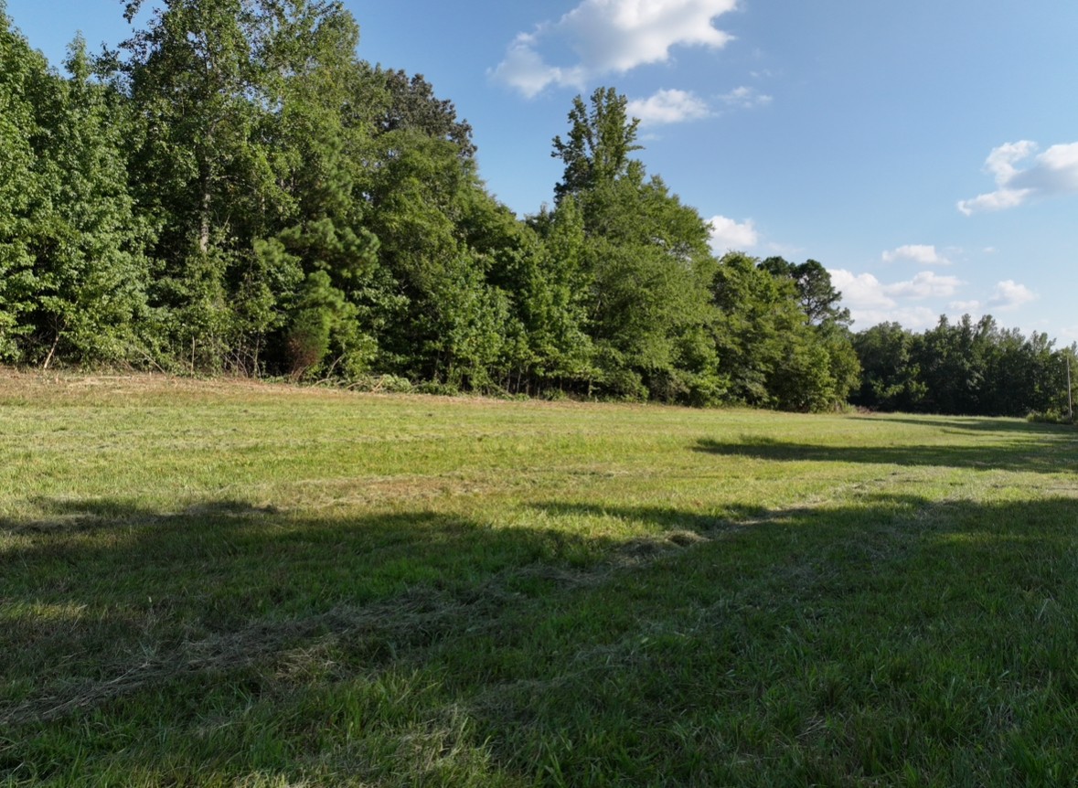 3 John Ross Hollow Road Erin, TN 37061 - Photo 4 of 25 a view of a big yard with plants and large trees