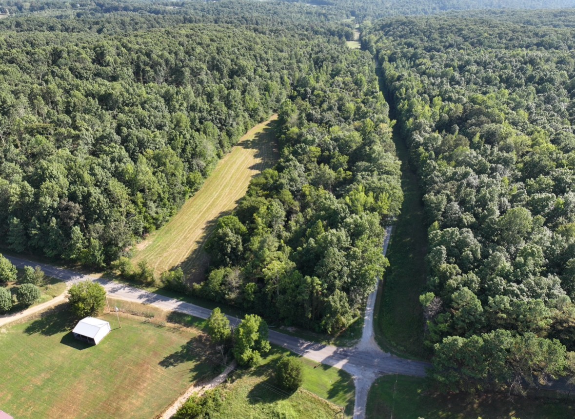 3 John Ross Hollow Road Erin, TN 37061 - Photo 6 of 25 a view of a garden with an outdoor space
