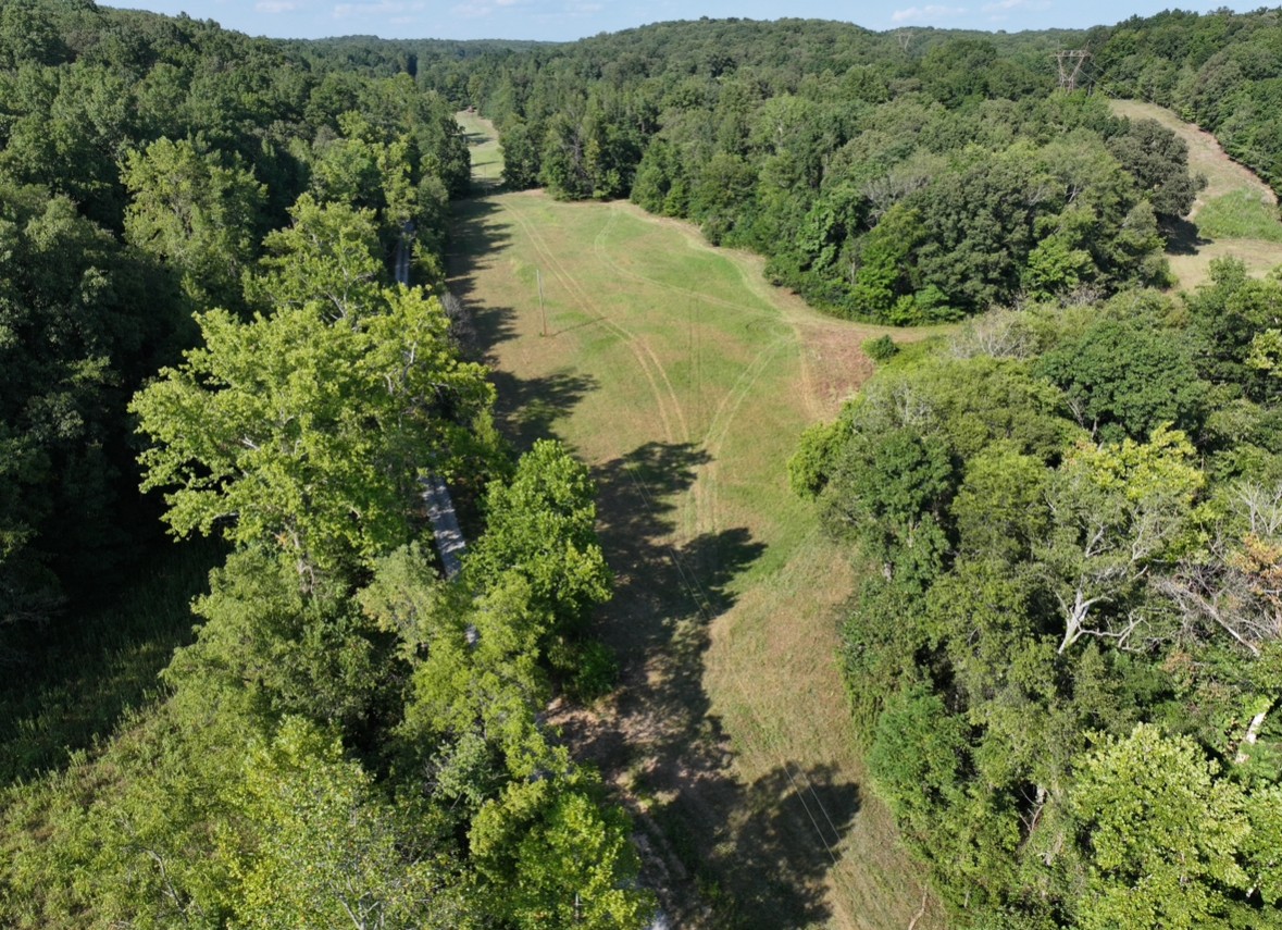 3 John Ross Hollow Road Erin, TN 37061 - Photo 8 of 25 a view of a lake with a forest