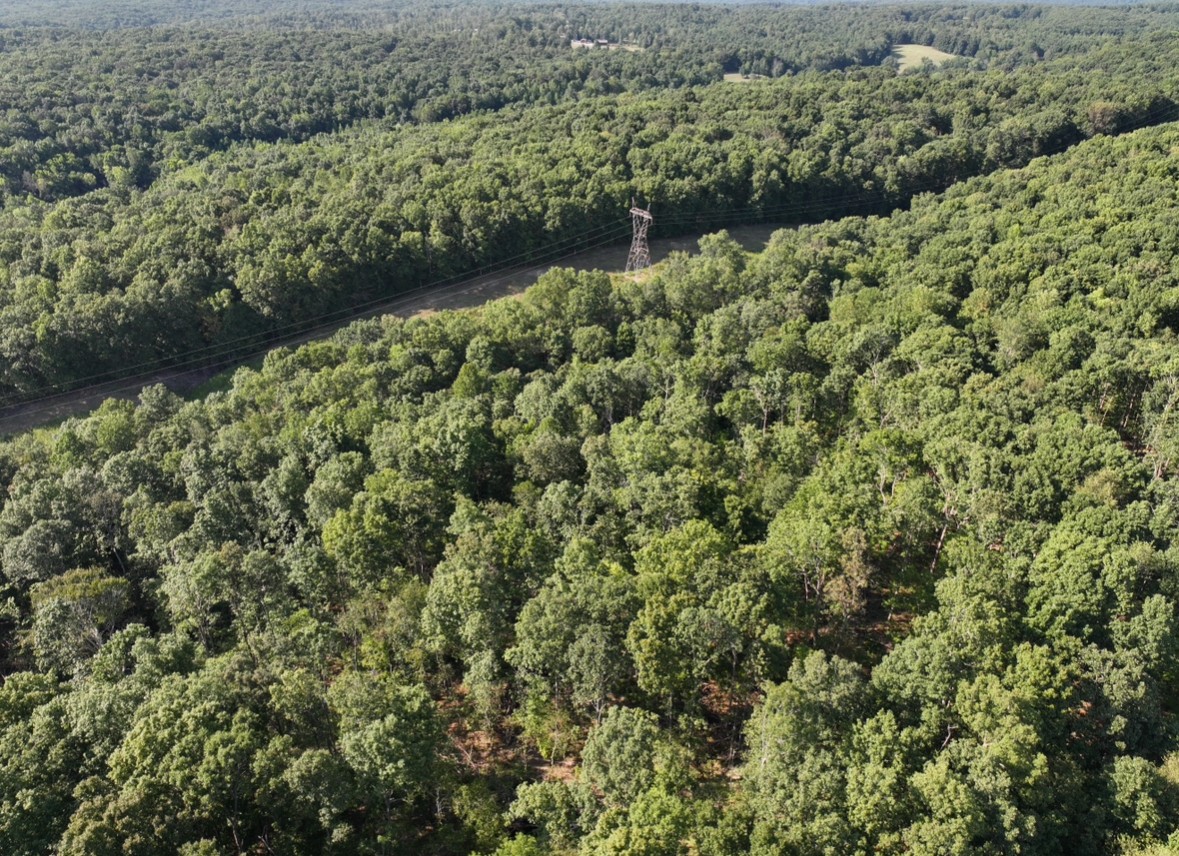3 John Ross Hollow Road Erin, TN 37061 - Photo 9 of 25 a view of a forest with a lake
