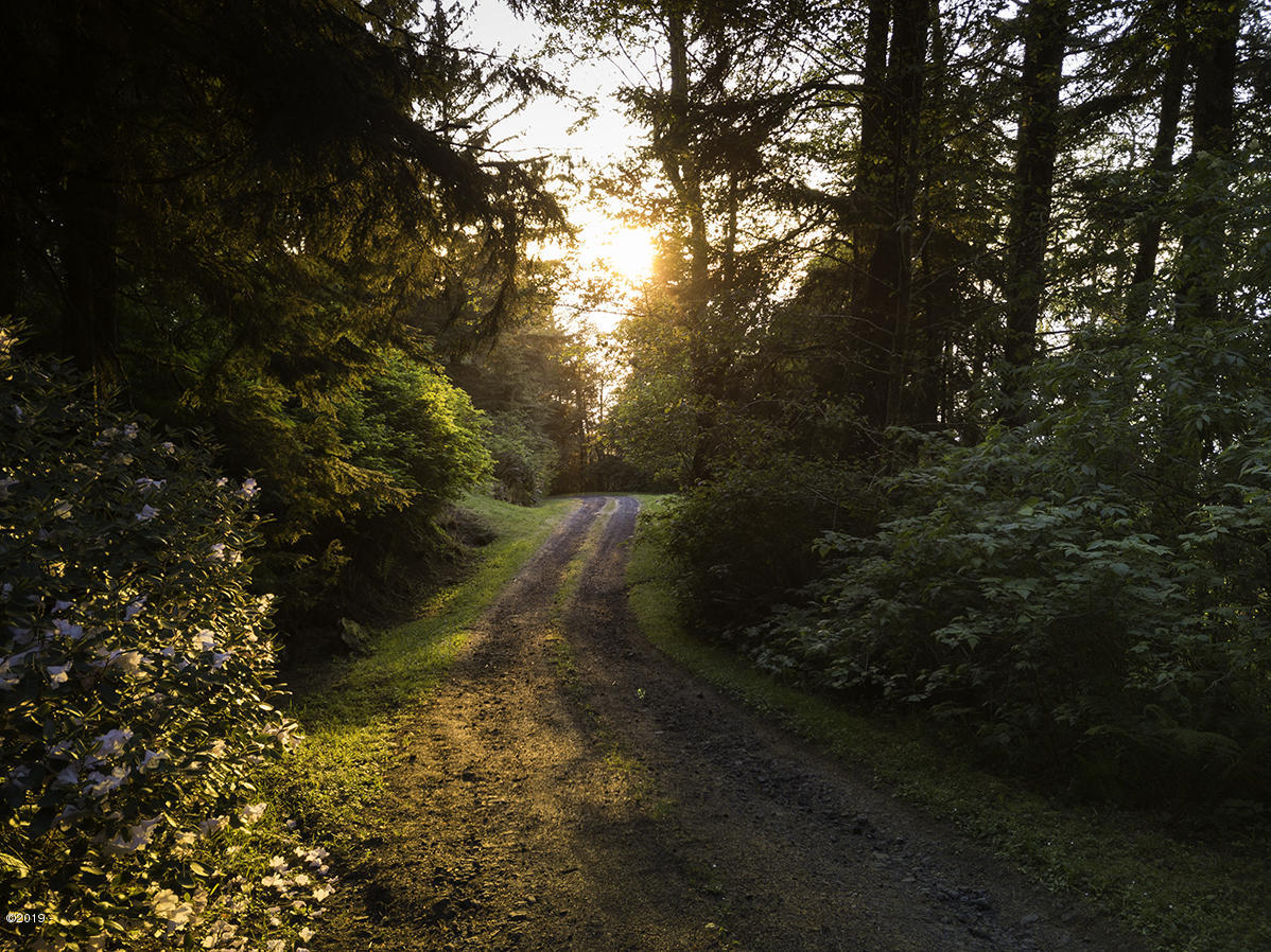 122 Reeves Circle Yachats, OR 97498 - Photo 3 of 40 Private road up to home