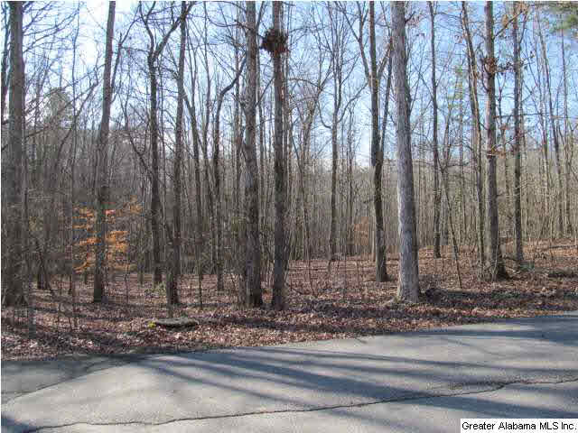 1 Signal Valley Trail Chelsea, AL 35043 - Photo 2 of 10