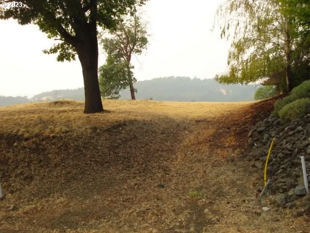 a view of an outdoor space