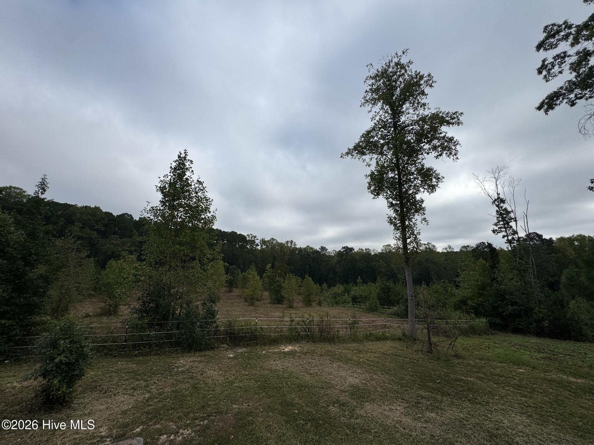 1595 Green Road Spring Hope, NC 27882 - Photo 40 of 52 Gallery Image 40