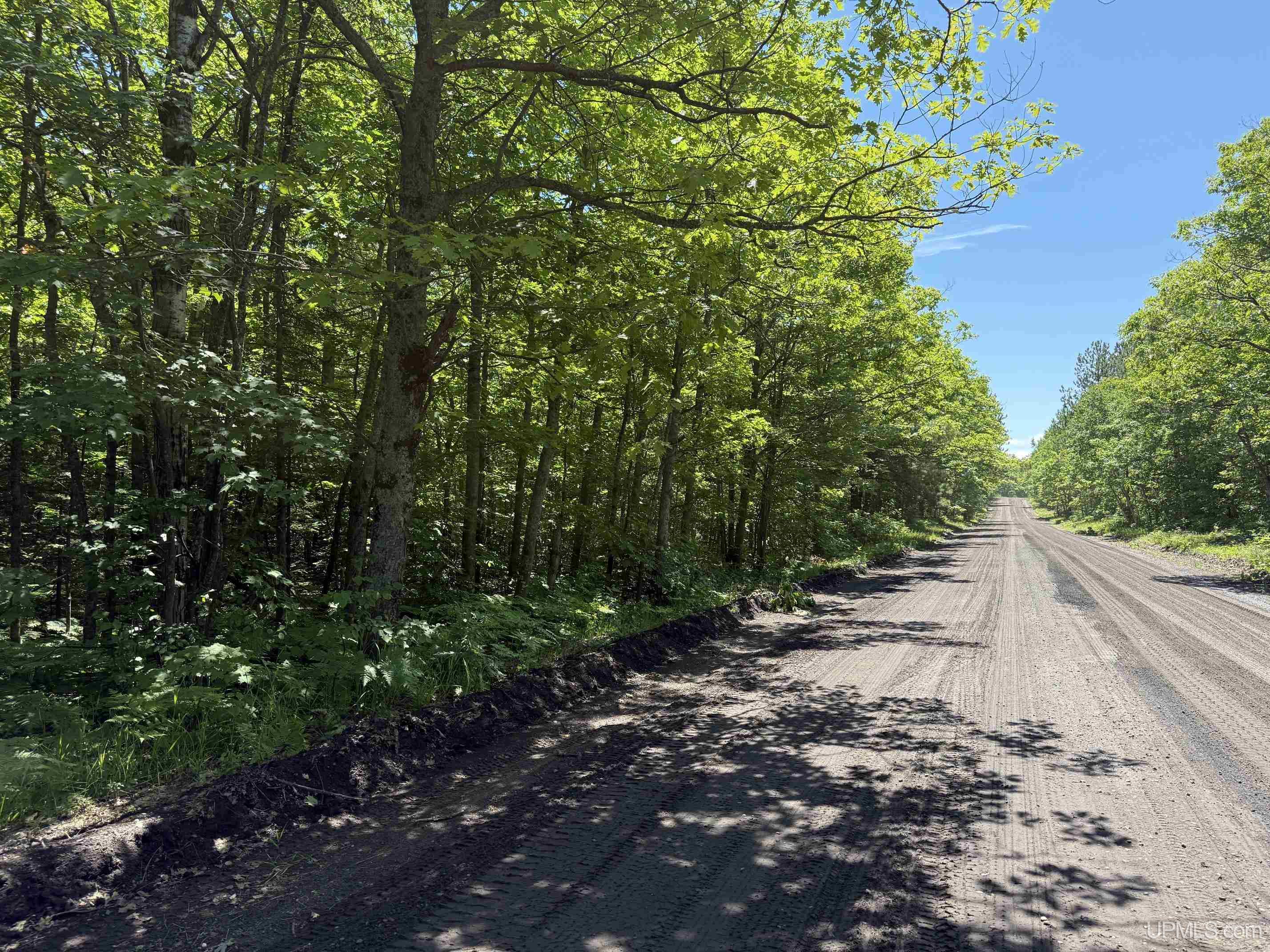 Tbd10 Upper Point Mills Road Hancock, MI 49922 - Photo 6 of 14