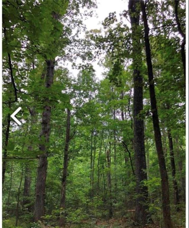 0 Hall Road Fairburn, GA 30213 - Photo 2 of 3 a view of forest