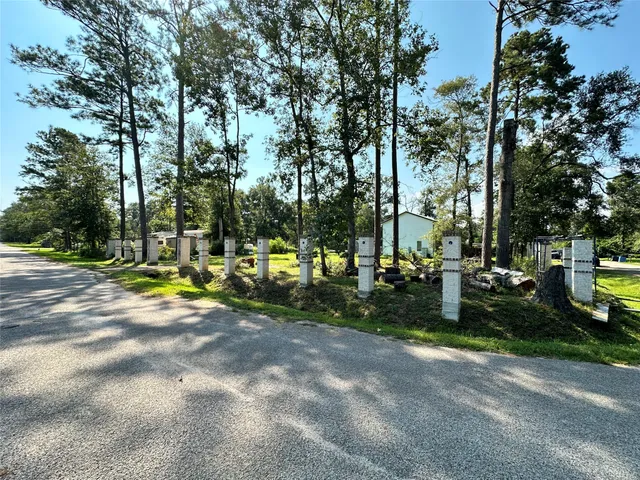 a view of a park with large trees