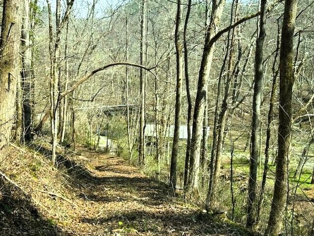 768 Ellis Creek Road Reliance, TN 37369 - Photo 17 of 18