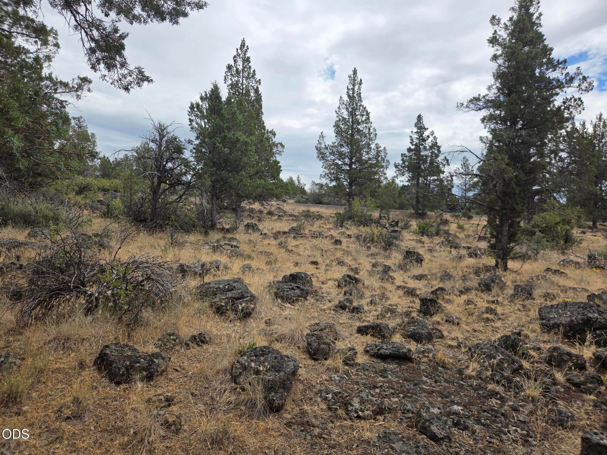 8314 Bly Mountain Cutoff Road Bonanza, OR 97623 - Photo 19 of 29 Gallery Image 19