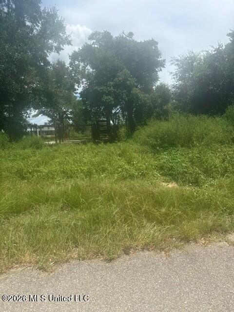 10028 East Bayou Road Bay St. Louis, MS 39520 - Photo 2 of 5 00