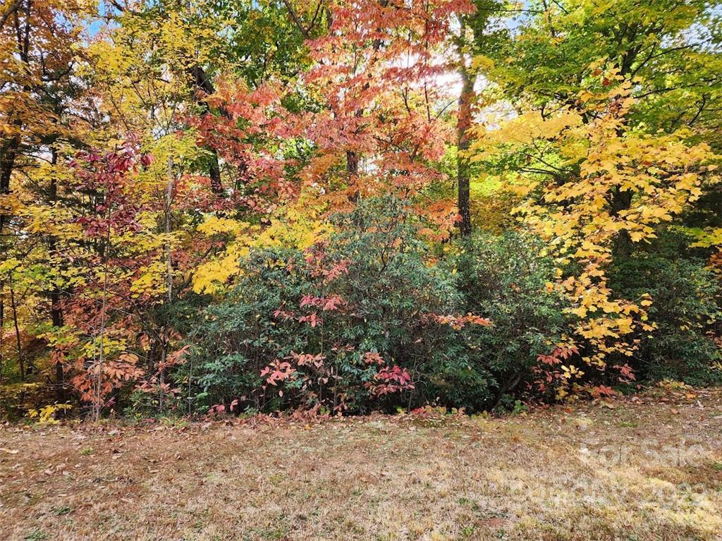 841 Fire Tower Road Bostic, NC 28018 - Photo 10 of 47 Gallery Image 10