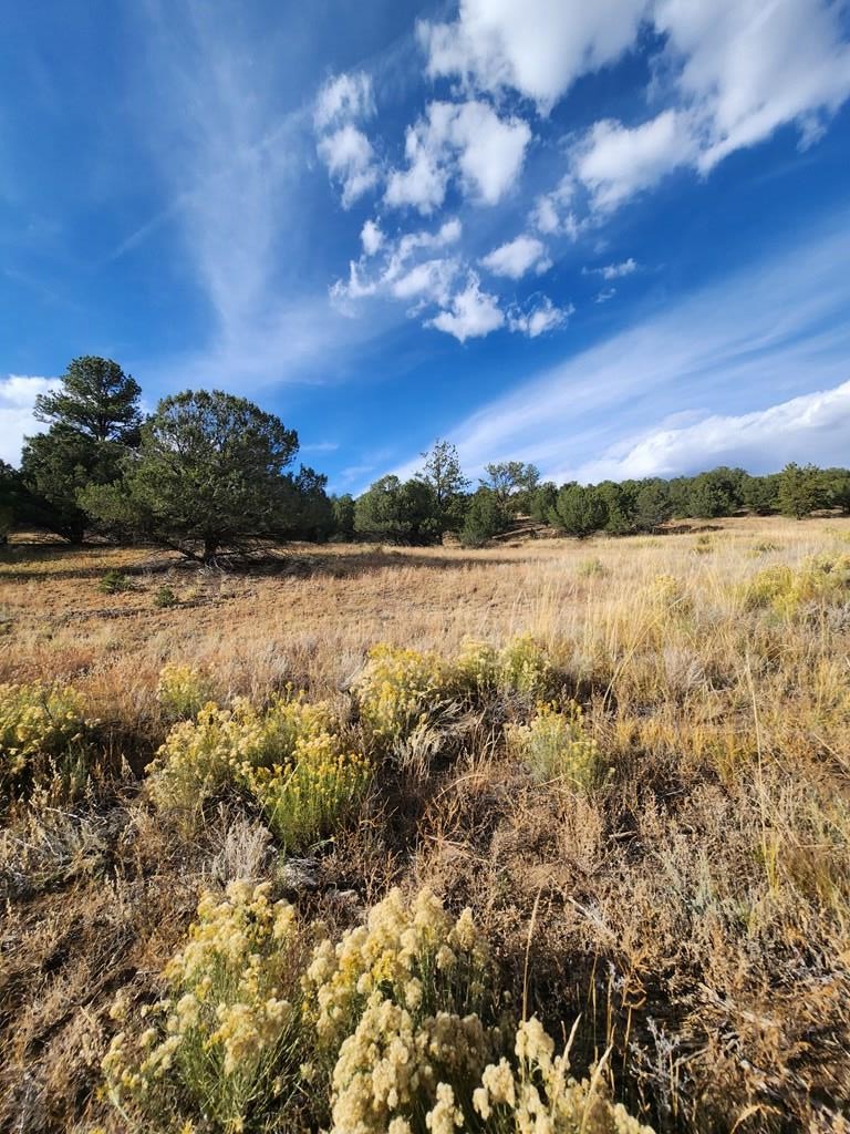 523-599 Ferris Road Westcliffe, CO 81252 - Photo 15 of 33