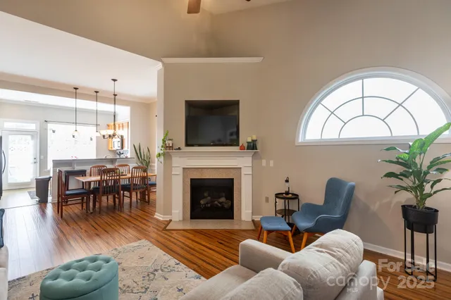 a living room with furniture or fireplace and a potted plant