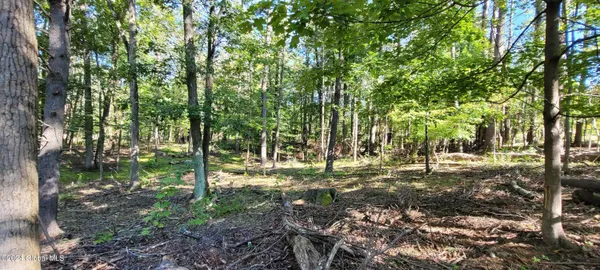 $179,000 | L20 High Hill Road, Earlton, NY 12058