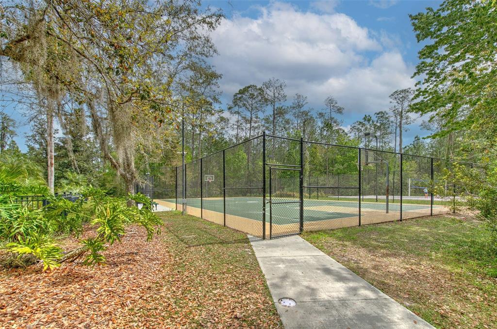27601 Baybrook Loop Wesley Chapel, FL 33544 - Photo 29 of 34