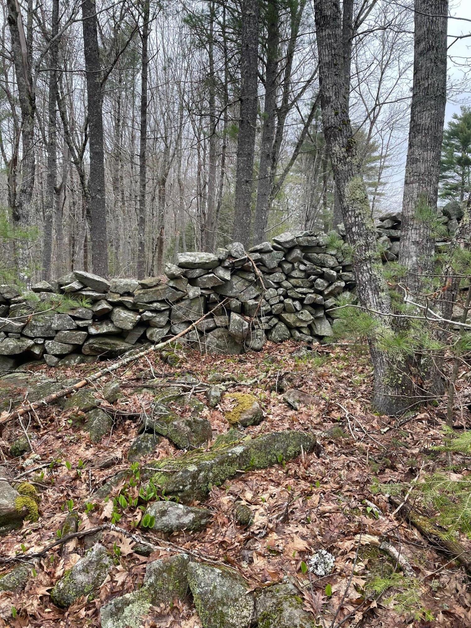 0 Standpipe Road Damariscotta, ME 04543 - Photo 4 of 16 IMG_3215