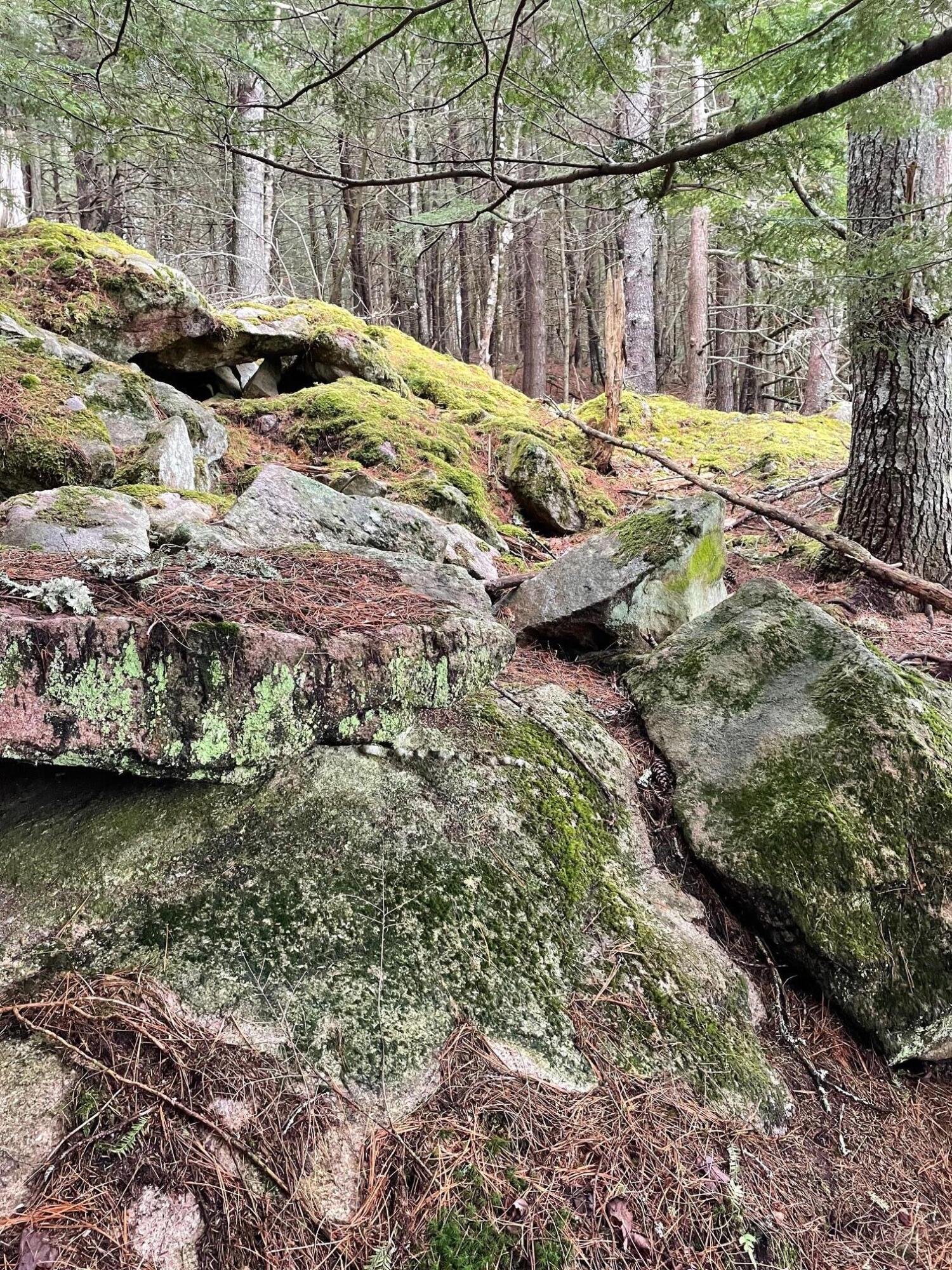 0 Standpipe Road Damariscotta, ME 04543 - Photo 5 of 16 IMG_3216