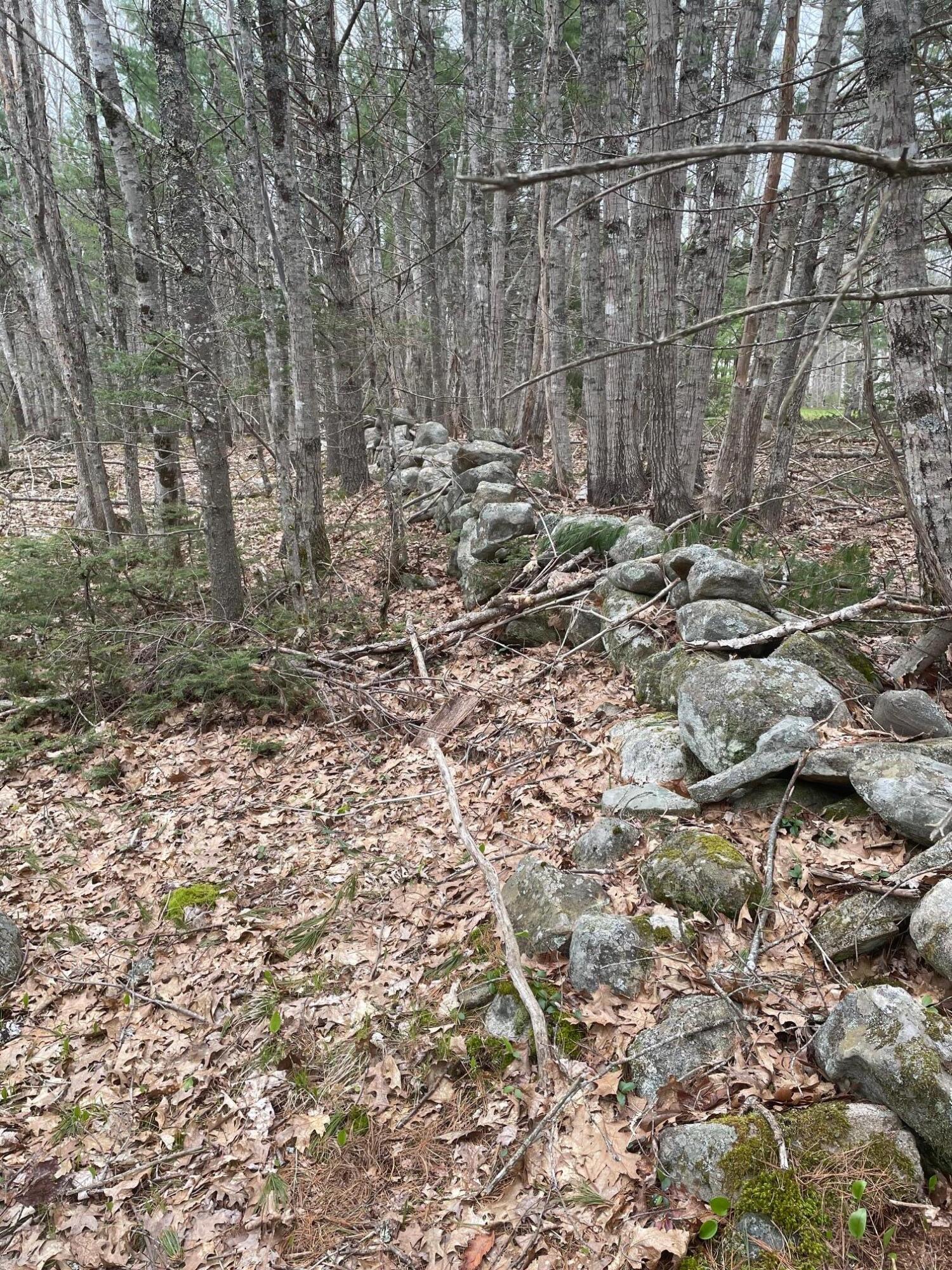 0 Standpipe Road Damariscotta, ME 04543 - Photo 7 of 16 IMG_3221