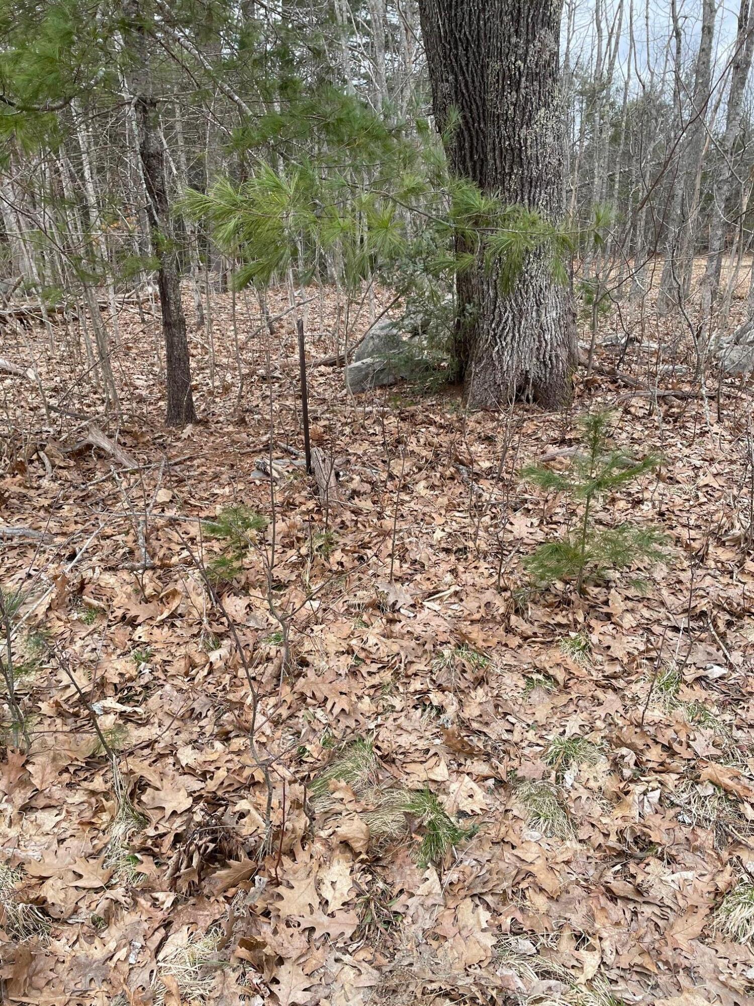 0 Standpipe Road Damariscotta, ME 04543 - Photo 10 of 16 IMG_3178