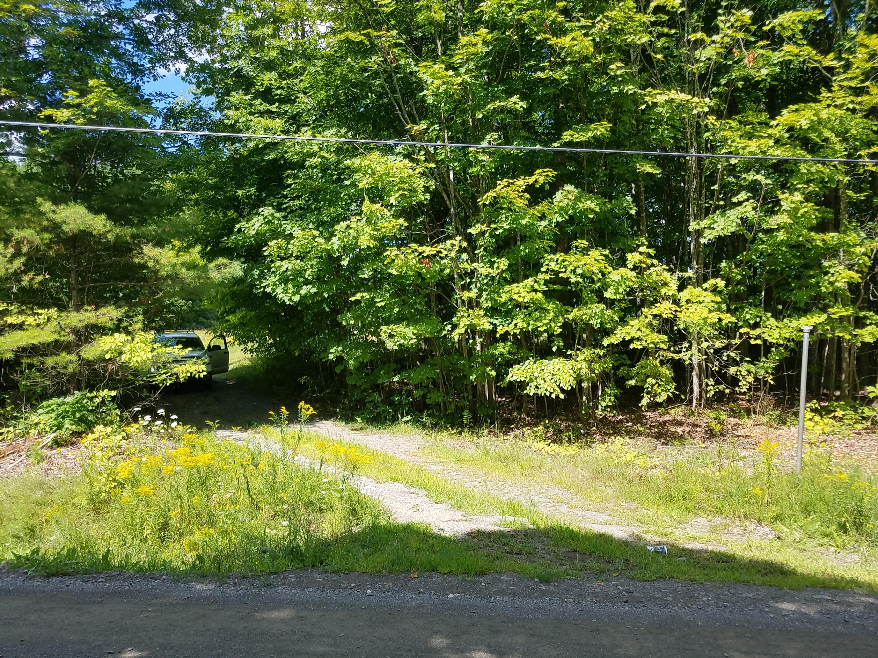 Lot 20 Holmes Road Dover-Foxcroft, ME 04426 - Photo 10 of 18 20190823_131537