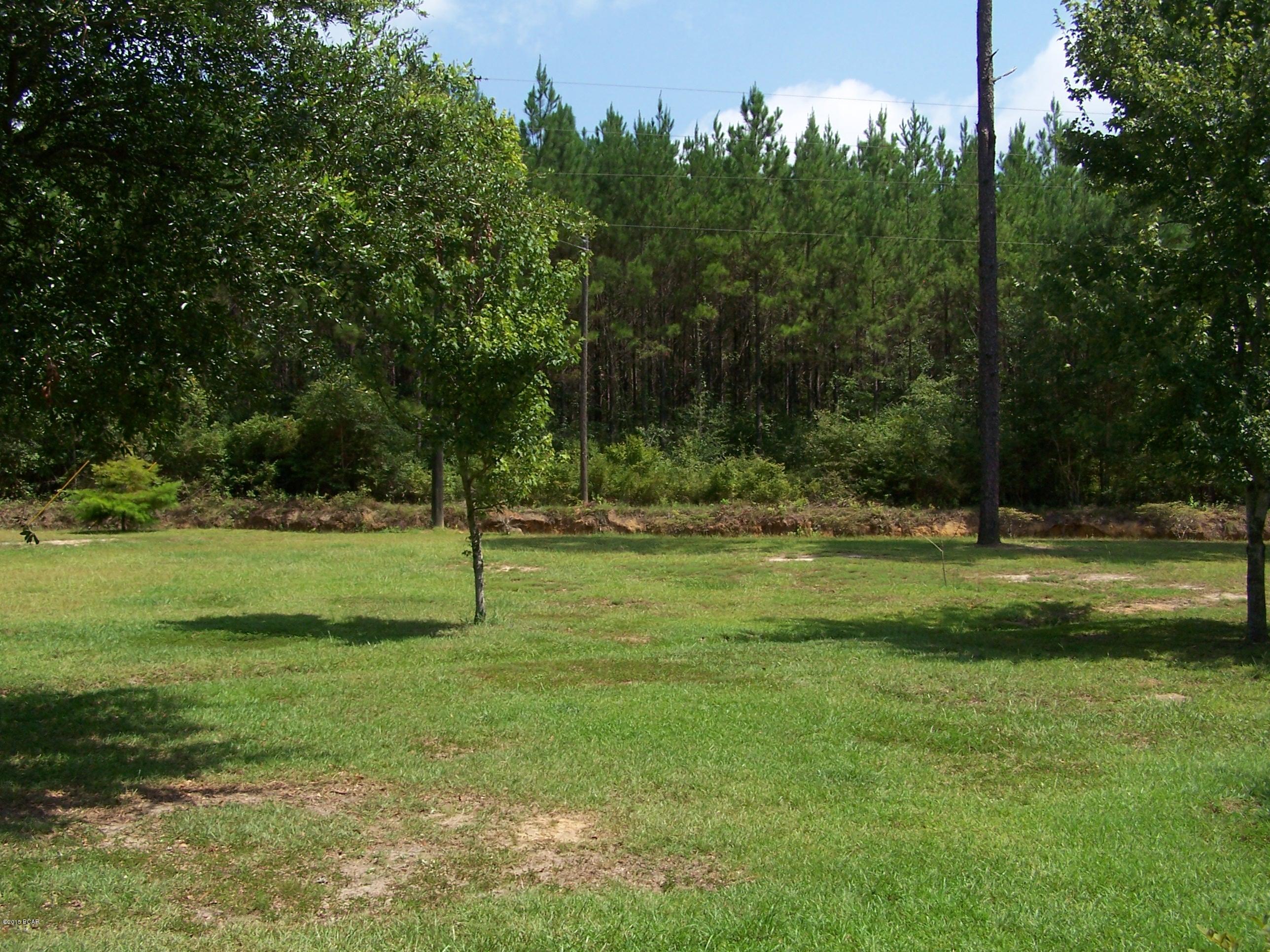 3238 East Martin Road Bonifay, FL 32425 - Photo 47 of 50 Gallery Image 47