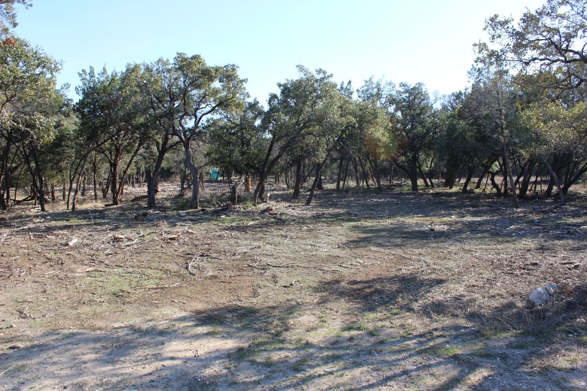 17507 Navigation Lane Jonestown, TX 78645 - Photo 1 of 14 a view of outdoor space with trees