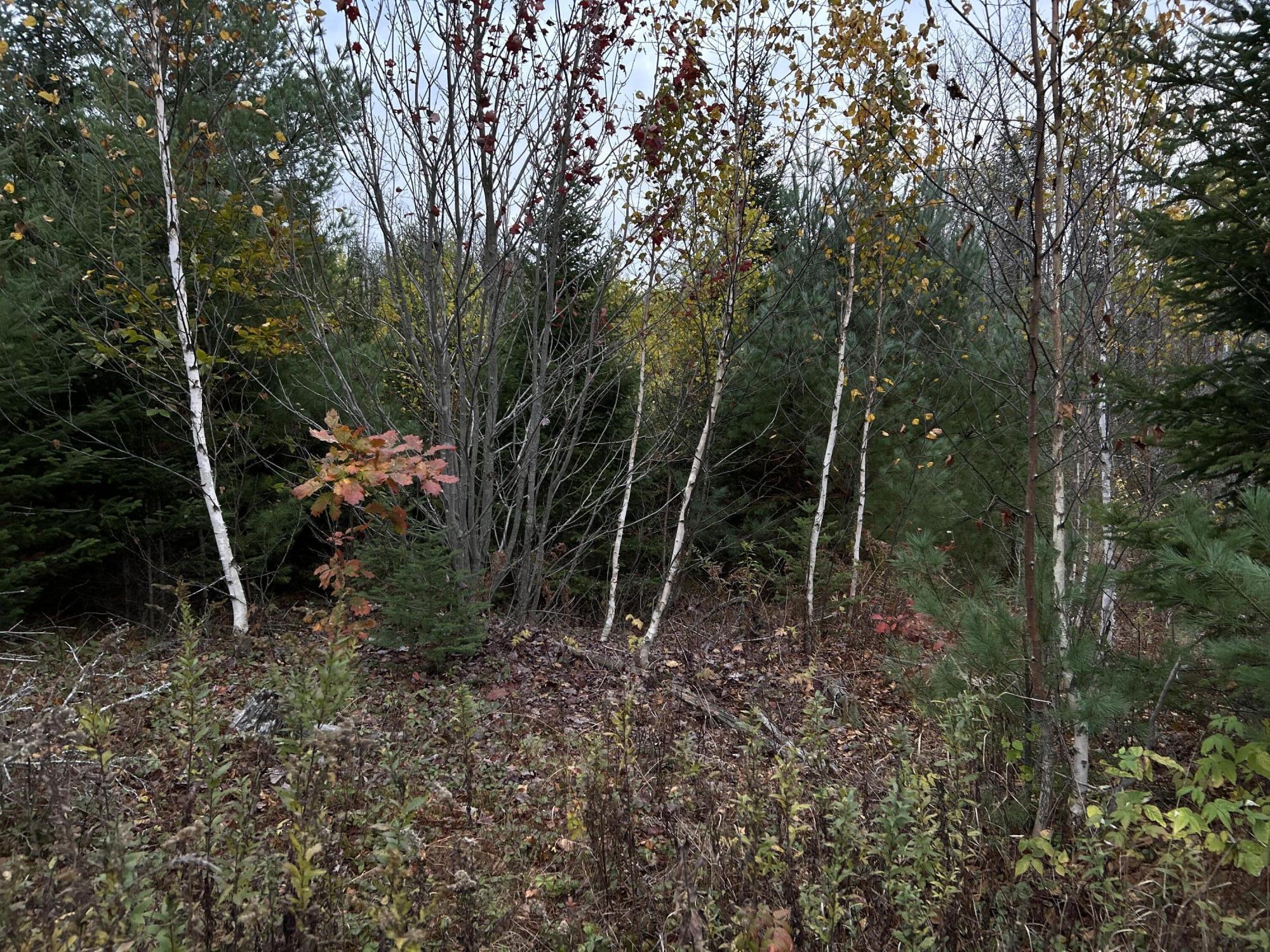 401 Genthner Road Waldoboro, ME 04572 - Photo 20 of 35 IMG_6084