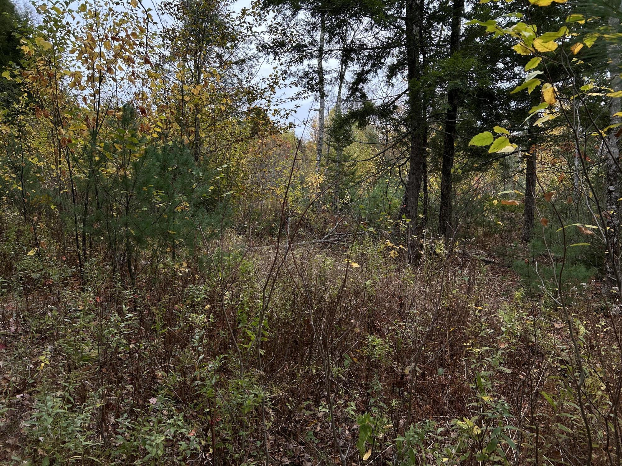 401 Genthner Road Waldoboro, ME 04572 - Photo 29 of 35 IMG_6131