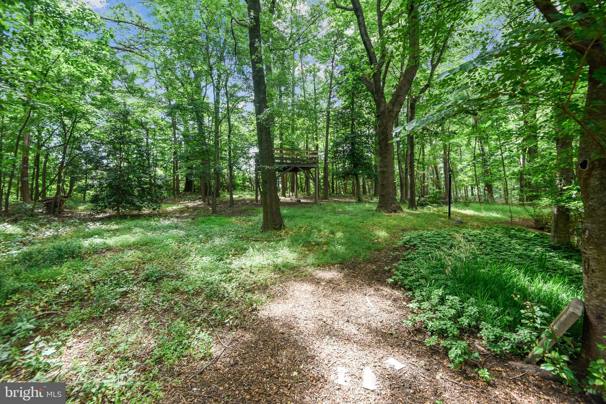 1515 Stuart Road Reston, VA 20194 - Photo 12 of 81 Stonescapes and path galore!