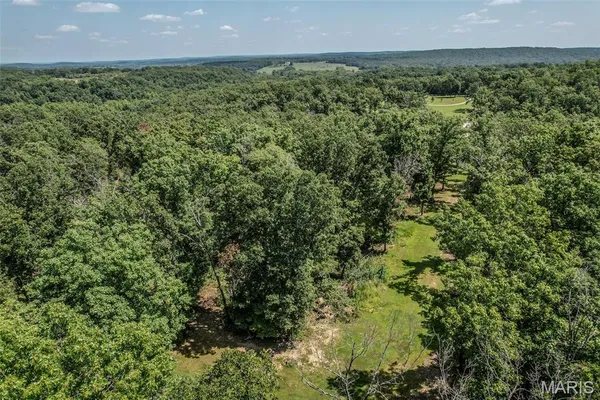 $275,000 | 16505 Vintage Drive, Falcon, MO 65470