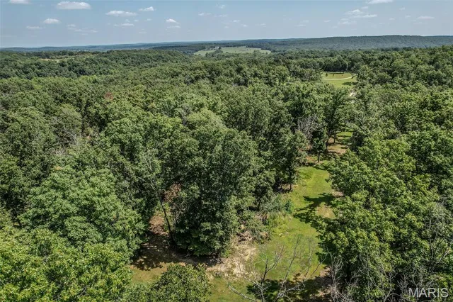 $299,900 | 16505 Vintage Drive, Falcon, MO 65470