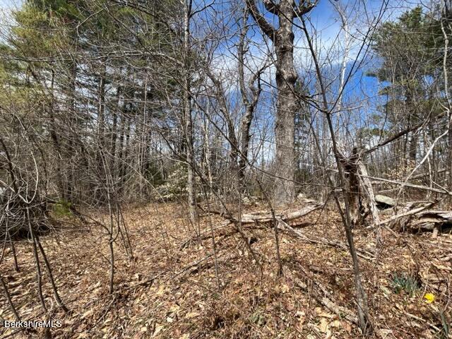 331 Shaw Road Windsor, MA 01270 - Photo 17 of 30 early spring view of land