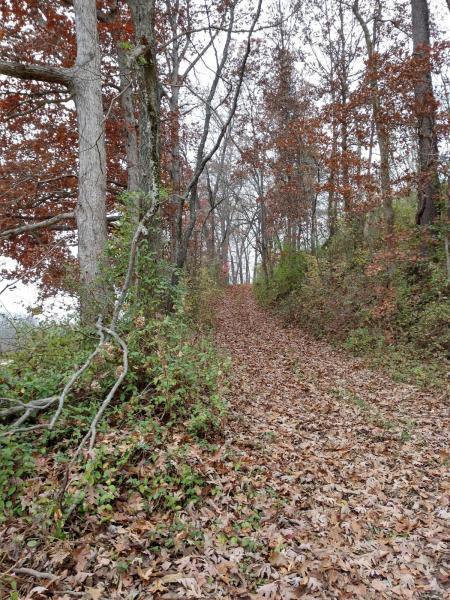 0 Lake Logan Road, Unit TRACT 5 Logan, OH 43138 - Photo 4 of 6