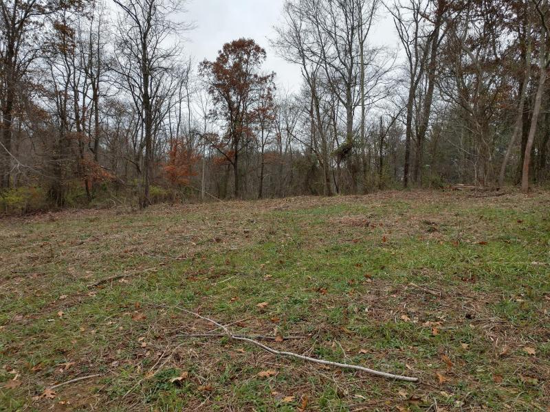 0 Lake Logan Road, Unit TRACT 5 Logan, OH 43138 - Photo 5 of 6