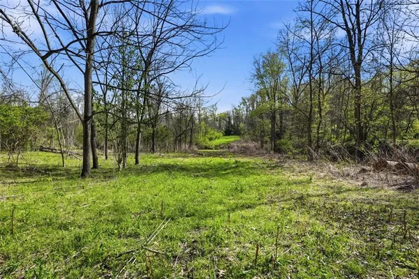 a view of field with trees
