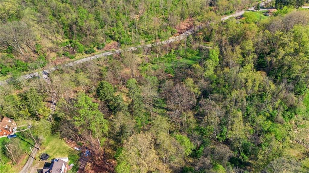 0 Hulton Road Verona, PA 15147 - Photo 12 of 17 a view of a lush green forest