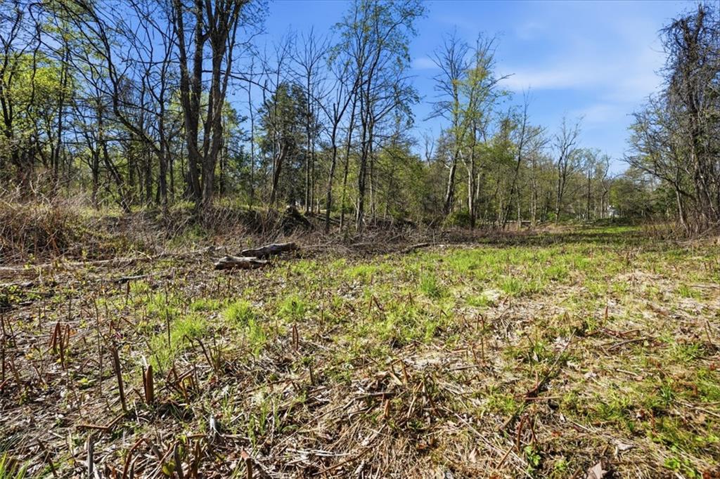 0 Hulton Road Verona, PA 15147 - Photo 3 of 17 a view of backyard with green space