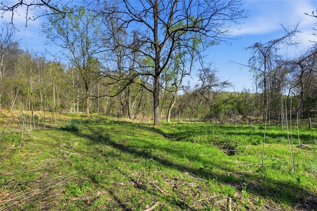 0 Hulton Road Verona, PA 15147 - Photo 4 of 17 a view of backyard with green space