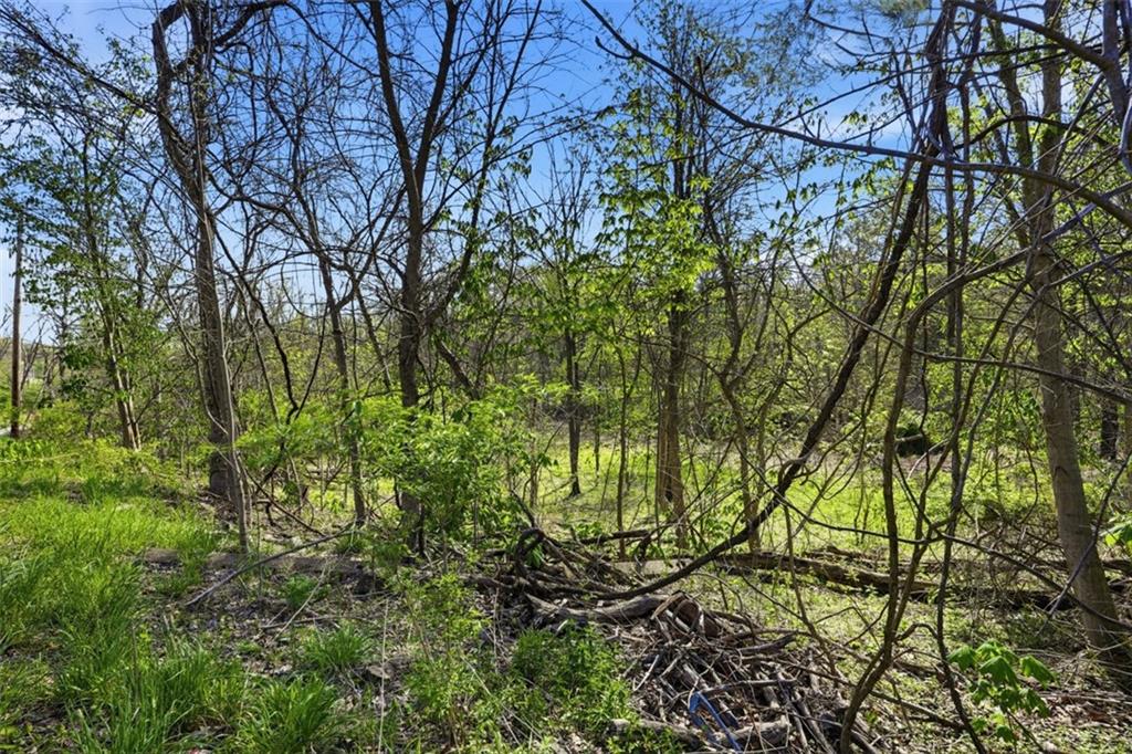 0 Hulton Road Verona, PA 15147 - Photo 6 of 17 a backyard of a house with lots of green space