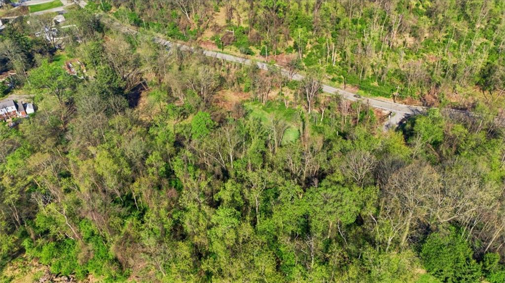 0 Hulton Road Verona, PA 15147 - Photo 10 of 17 a view of a lush green forest with large trees